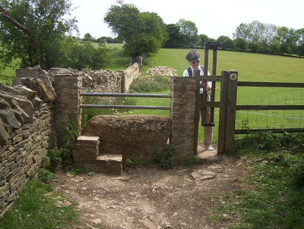 Stile with doggy door