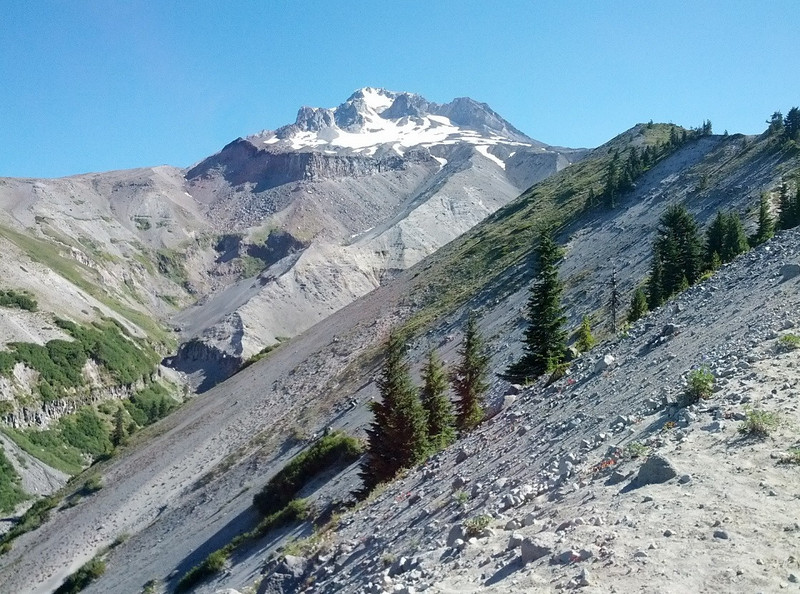 Mt Hood from ZigZag Canyon