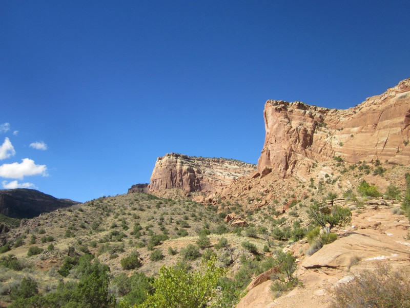 Wedding Canyon &amp; Monument Canyon junction
