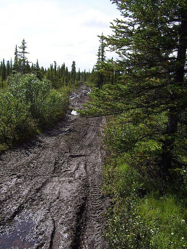 Caribou Creek Trail