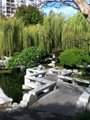 More from the Chinese garden