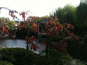 chinese garden