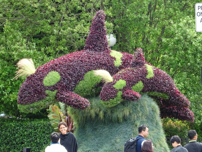 Flowers in the shape of whales