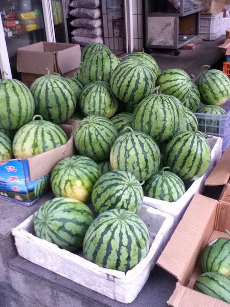 More Watermelons