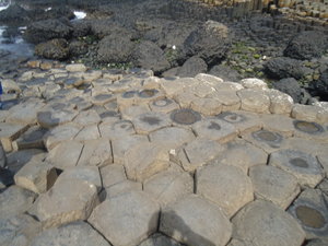 the Giant's Causeway!