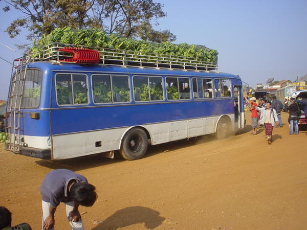 Bus of Bananas