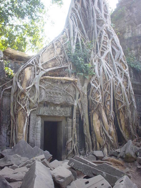 Angkor 6