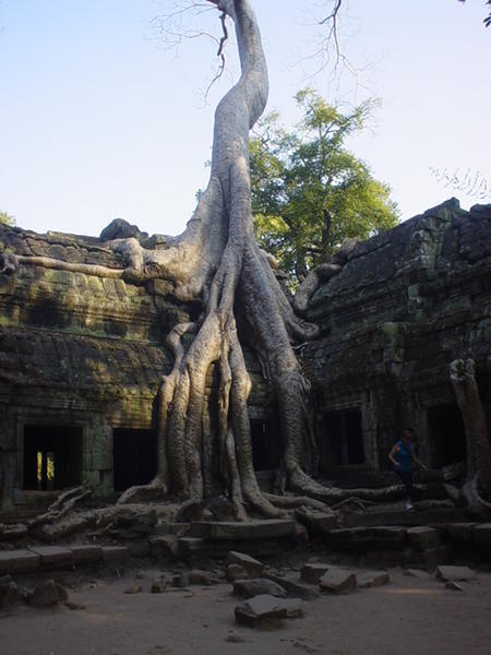 Angkor 16