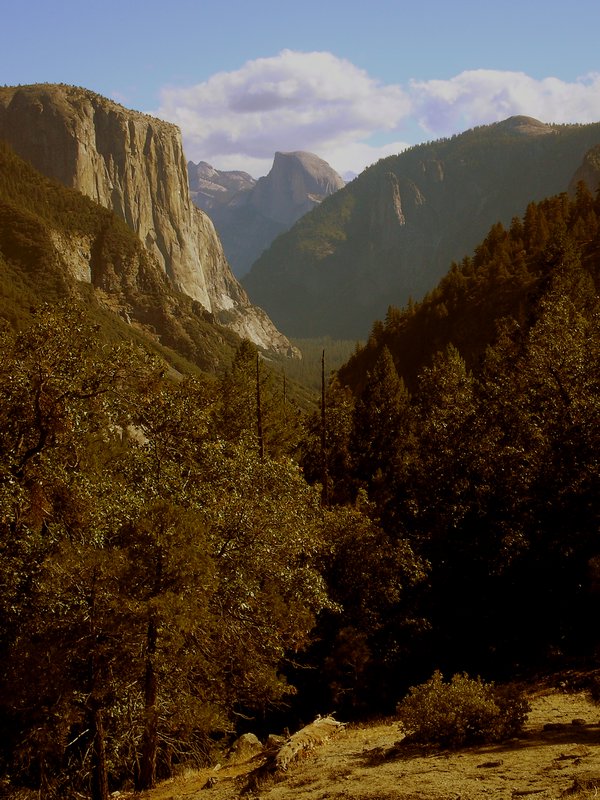 Yet another picture of Yosemite Valley
