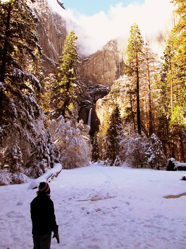 Yosemite Falls Nov 2011c