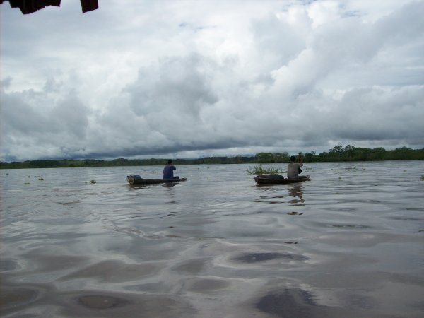 Local Fisherman