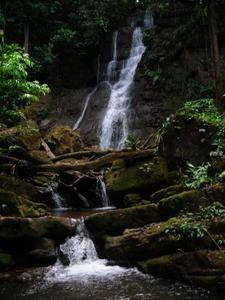 Waterfall in the Selva