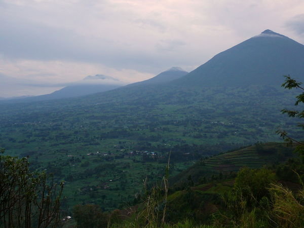 Virunga View