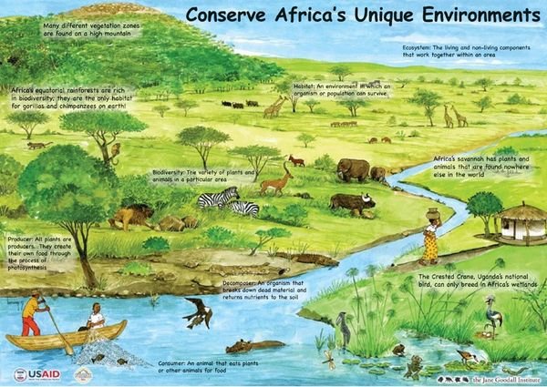 Conserve Africa's Environment Poster