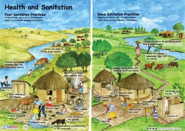 Health and Sanitation Poster