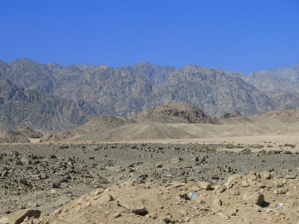 The Sinai Desert