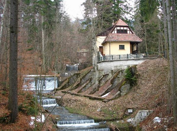 Transylvanian Woods