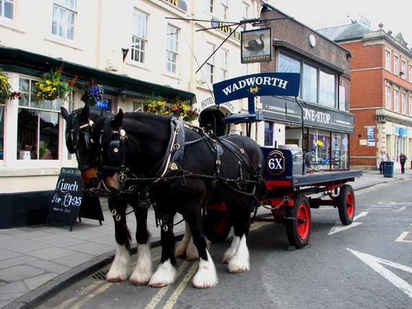 Wadworth Brewery Clydesdales