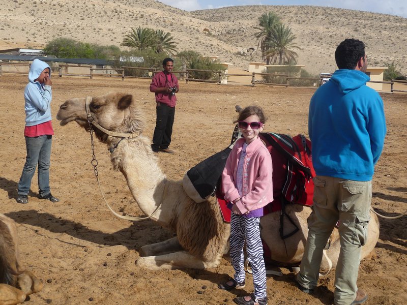 Camel Trak