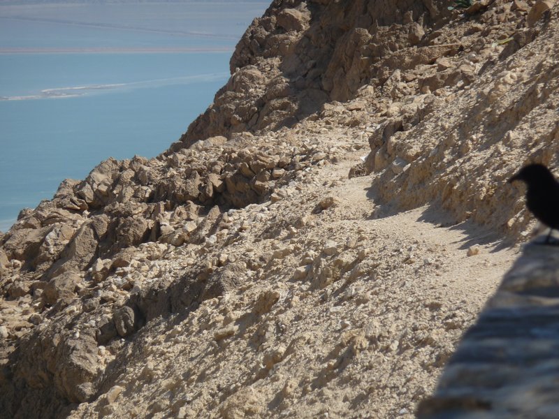 Hills above the Dead sea