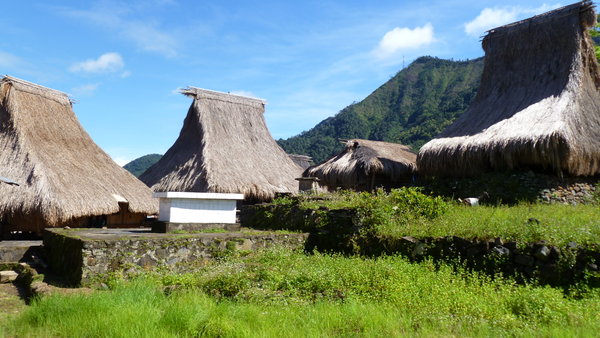 Wologai traditional village