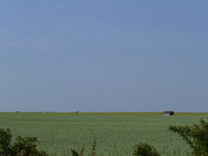 Fields outside Suzdal
