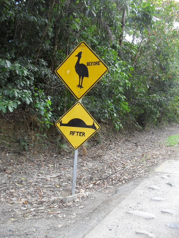 Cassowary sign