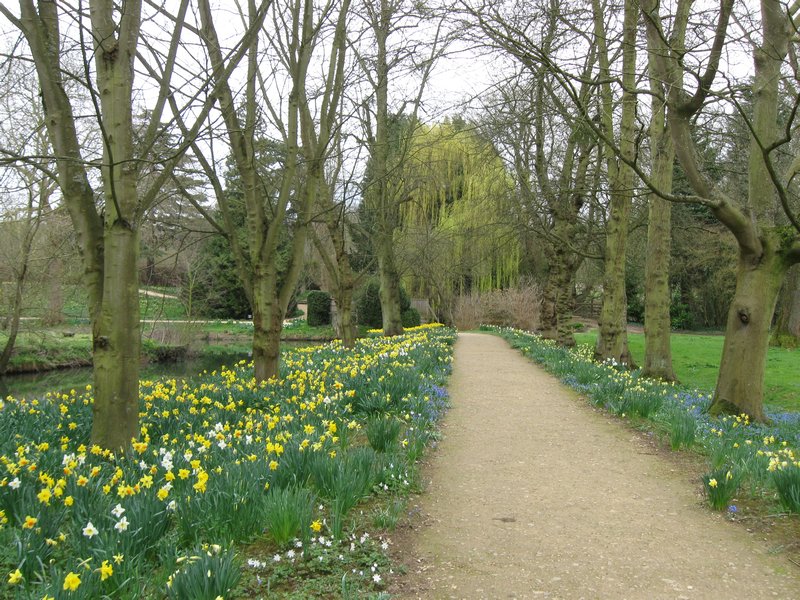Addison's Walk (Magdalen College)