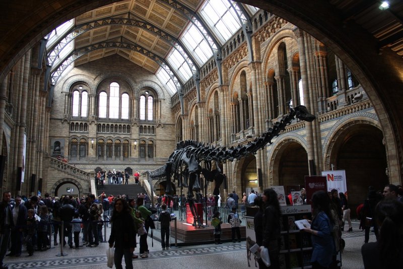 Entrance Hall - British Museum of Natural History