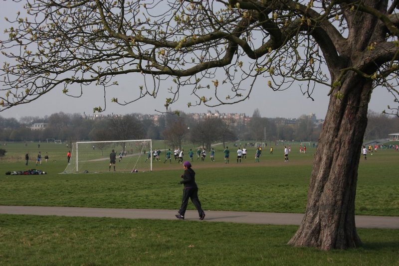 Playing fields - Regent's Park