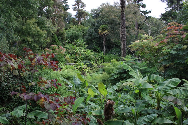 The Jungle, The Lost Gardens of Heligan