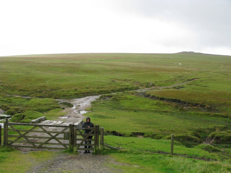 Bodmin Moor, looking towards Little Rough Tor