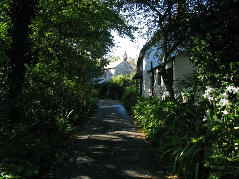 Church Cove Road, Landewednack