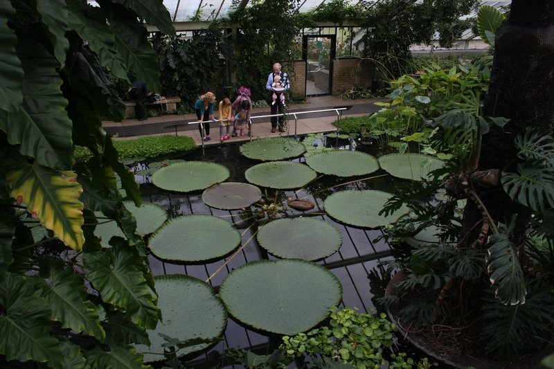 Princes of Wales Conservatory, Kew Gardens 