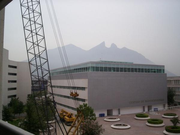 View from the CIAP building