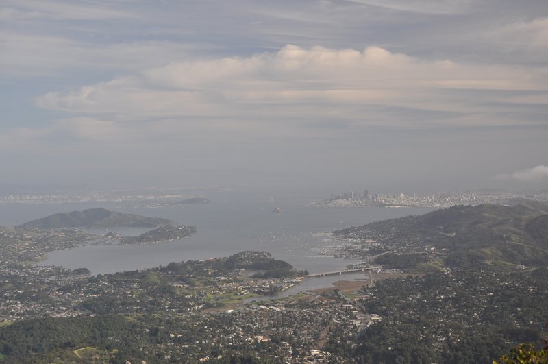 View of Bay from Mt. Tamalpais