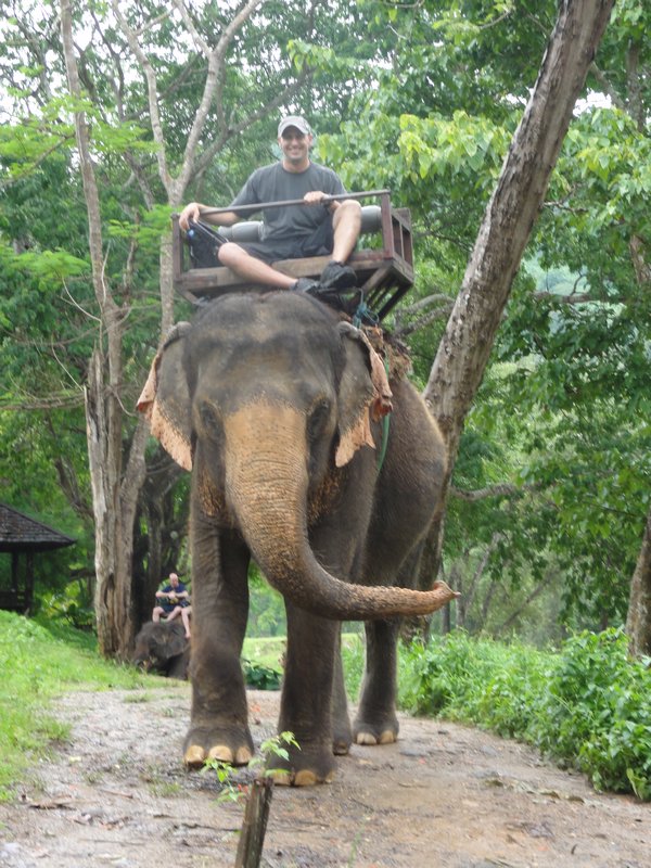 Elephant Ride