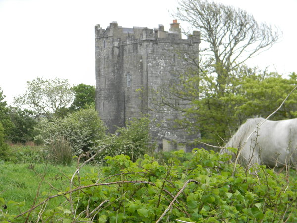 Ballynagoman Castle