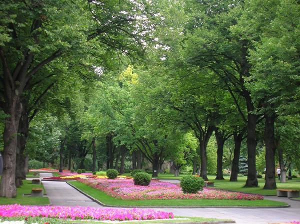 Kremlin Garden