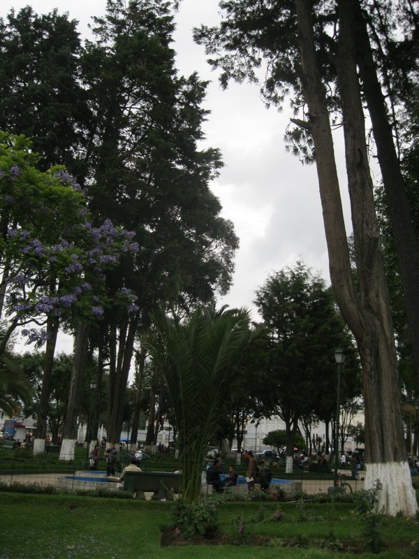 A park, Xela