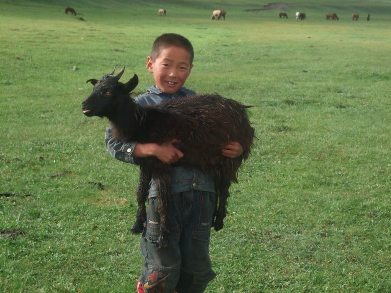 This little boy came to show us his favourite goat