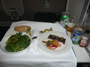 Typical plane food