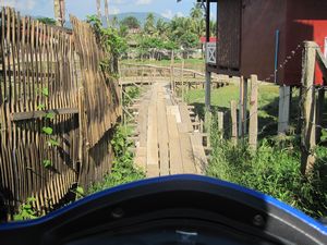 thats my dashboard at the bottom....this was a tough navigation...motorbike over three foot wide bamboo bridge...