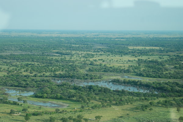 Okavanga delta from the air