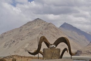 The symbol of Tajikistan
