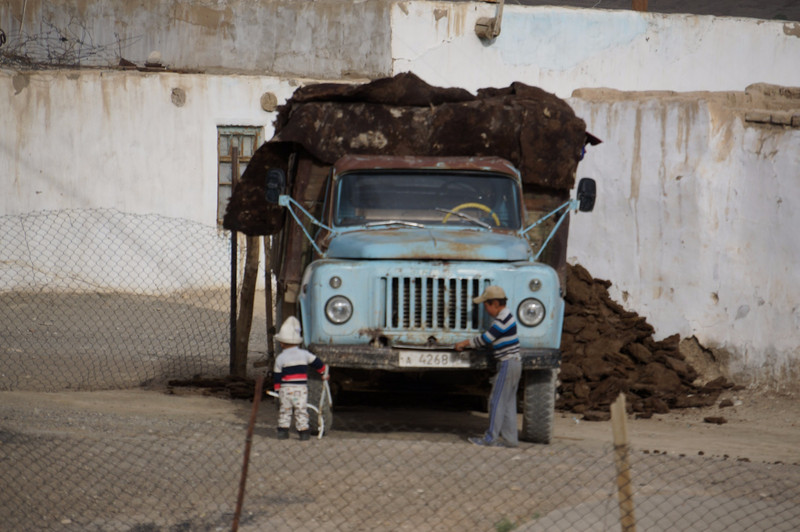 A lorry load of dung