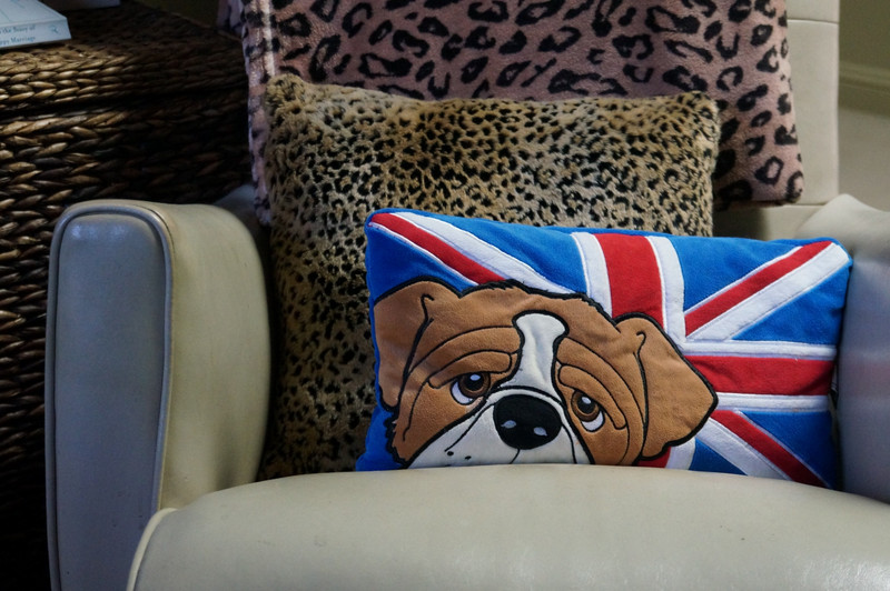 Sam's British Bulldog