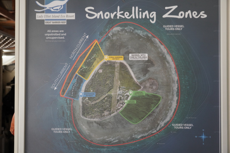 Lady Elliot Snorkeling Zones