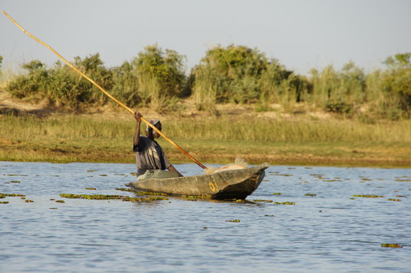 FISHING DREAMING 