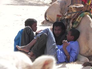 BOYS WILL BE BOYS...Timbuktu